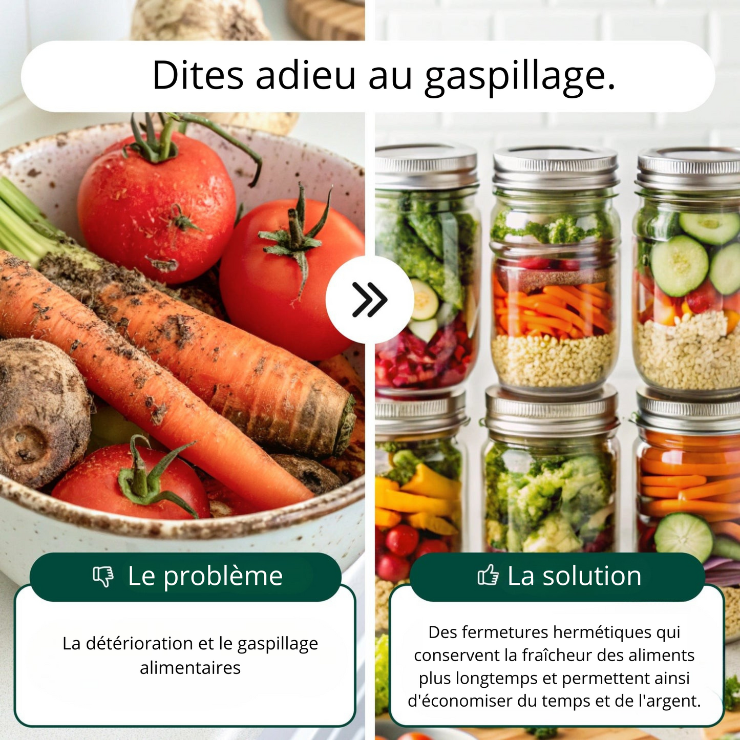 Machine à emballer sous vide Freshguard™