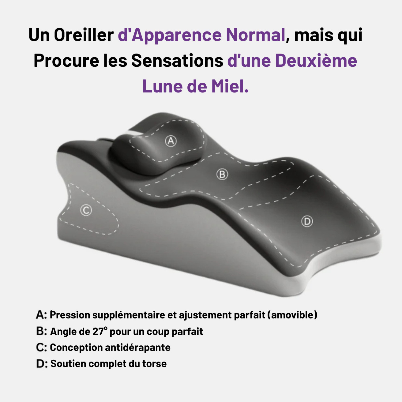 Coussin érotique Shevin's™