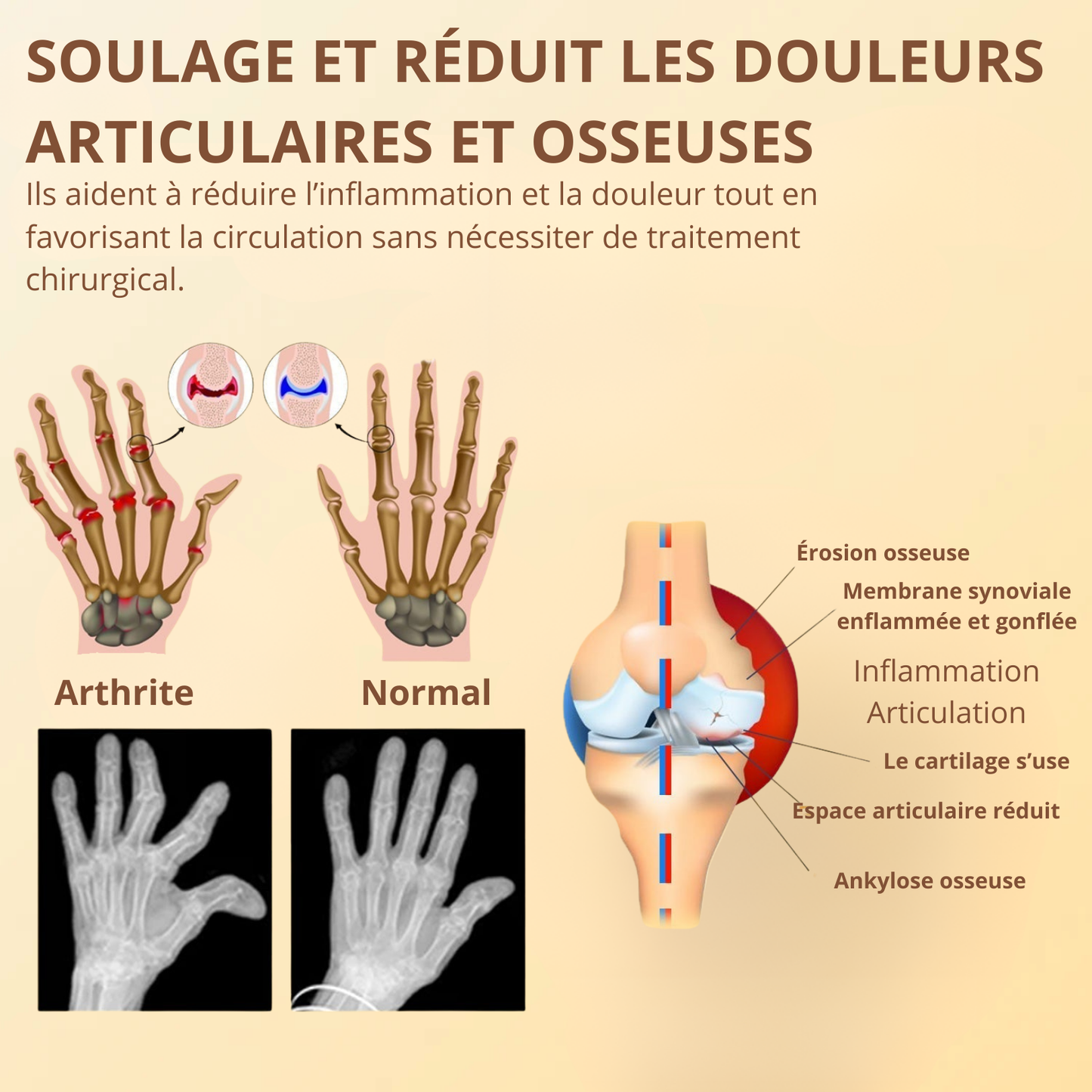 Shevin's Derma Crème Régénérante au Venin d’Abeille | Répare, lisse et revitalise votre peau en 10 minutes!